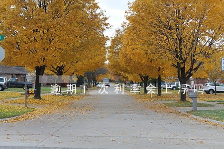 逾期1次利率会上浮吗