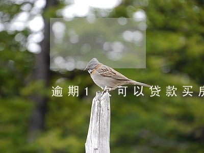 逾期1次可以贷款买房吗 逾期1次可以贷款买房吗