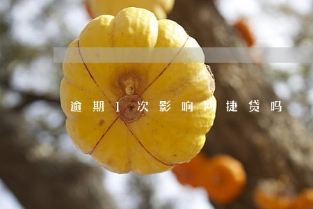 逾期1次影响网捷贷吗 逾期1次影响网捷贷吗