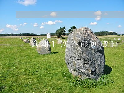 逾期1次还能网贷吗