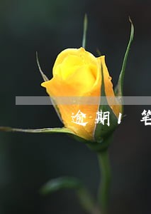 逾期1笔影响公积金贷款吗 逾期1笔影响公积金贷款吗