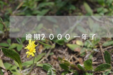 逾期2000一年了 逾期2000一年了