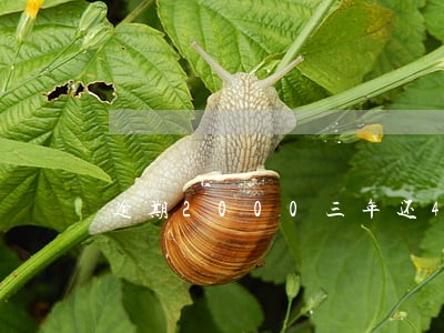 逾期2000三年还4000 逾期2000三年还4000