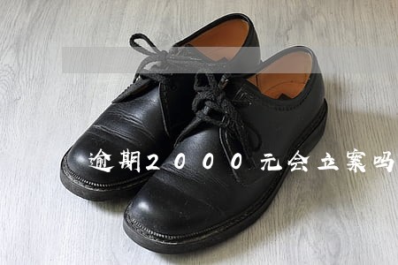 逾期2000元会立案吗 逾期2000元会立案吗