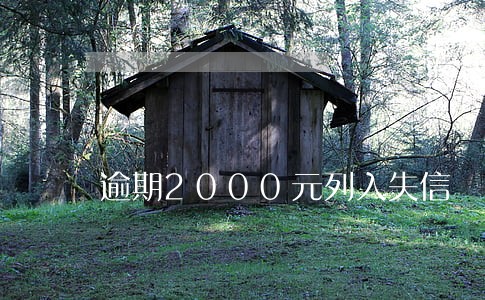 逾期2000元列入失信 逾期2000元列入失信