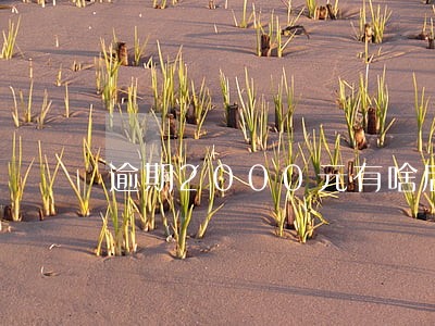 逾期2000元有啥后果