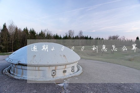 逾期2000利息怎么算 逾期2000利息怎么算