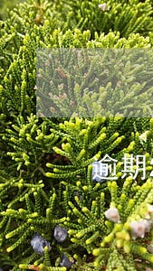 逾期2000说要上门 逾期2000说要上门