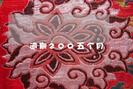 逾期200五个月 逾期200五个月