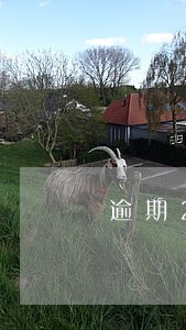 逾期200会上门收吗