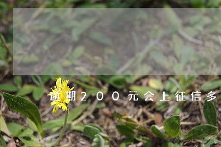 逾期200元会上征信多久