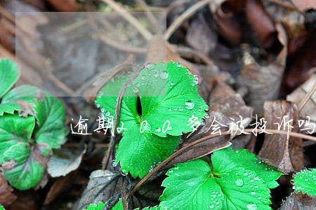 逾期200多会被投诉吗 逾期200多会被投诉吗