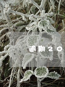 逾期200多天