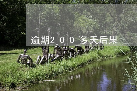 逾期200多天后果