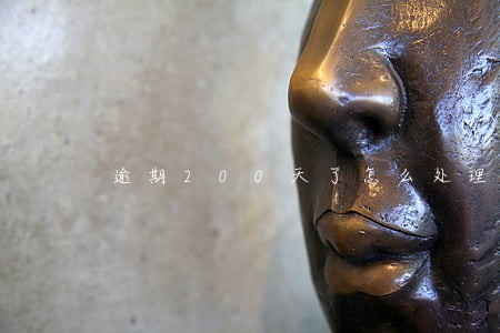 逾期200天了怎么处理 逾期200天了怎么处理
