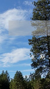 逾期200天可以去协商吗 逾期200天可以去协商吗