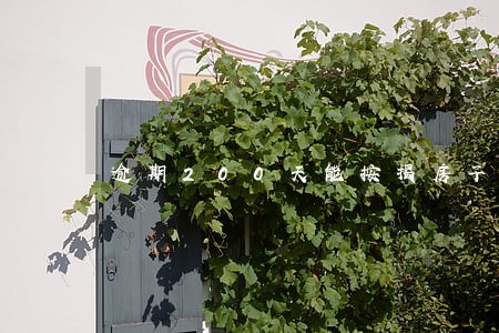 逾期200天能按揭房子吗 逾期200天能按揭房子吗