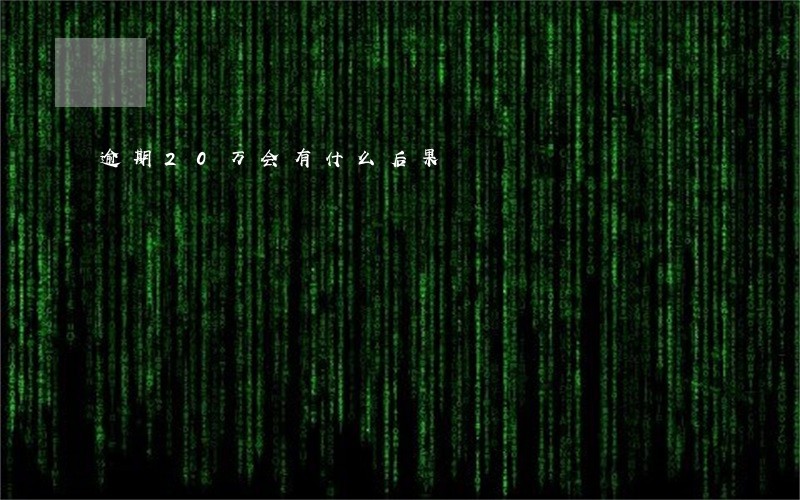 逾期20万会有什么后果 逾期20万会有什么后果