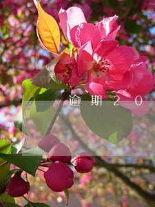 逾期20万怎么协商减免服务费 逾期20万怎么协商减免服务费