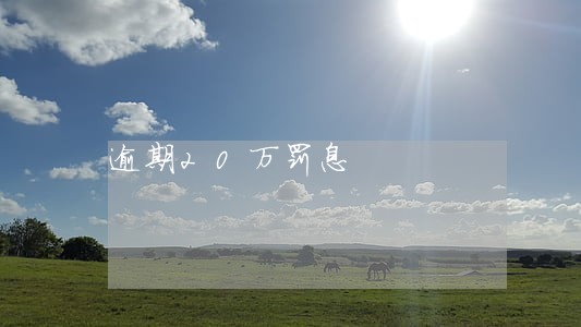 逾期20万罚息 逾期20万罚息