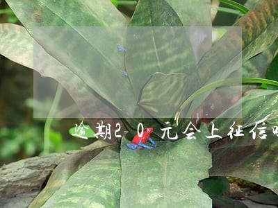 逾期20元会上征信吗 逾期20元会上征信吗