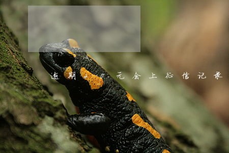 逾期20元会上征信记录吗 逾期20元会上征信记录吗