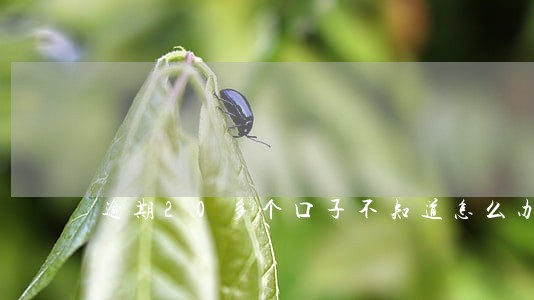 逾期20多个口子不知道怎么办 逾期20多个口子不知道怎么办