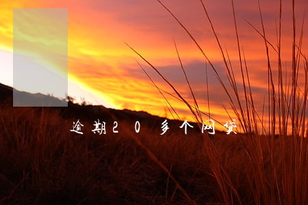 逾期20多个网贷