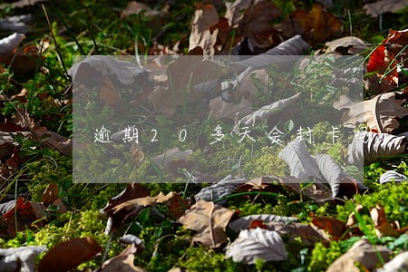 逾期20多天会封卡吗 逾期20多天会封卡吗