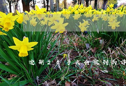 逾期20多天会被列为诈骗吗 逾期20多天会被列为诈骗吗