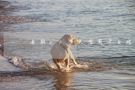 逾期20多天信用卡会被冻结么 逾期20多天信用卡会被冻结么