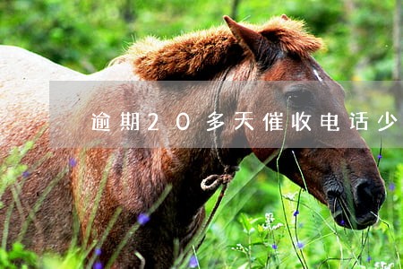 逾期20多天催收电话少了为什么 逾期20多天催收电话少了为什么