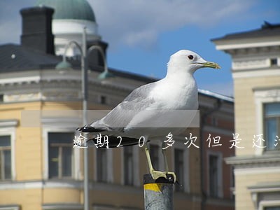 逾期20多次但是还清了 逾期20多次但是还清了