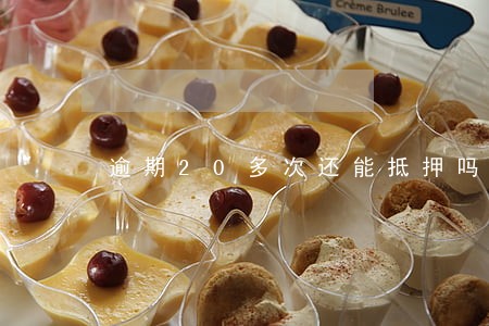 逾期20多次还能抵押吗 逾期20多次还能抵押吗