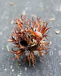 逾期20多次还能申请购房贷吗 逾期20多次还能申请购房贷吗