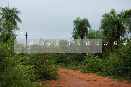 逾期20多次银行没提醒 逾期20多次银行没提醒