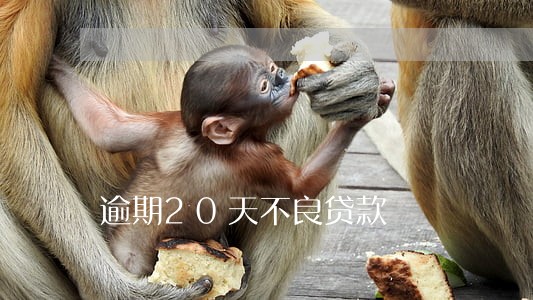 逾期20天不良贷款 逾期20天不良贷款