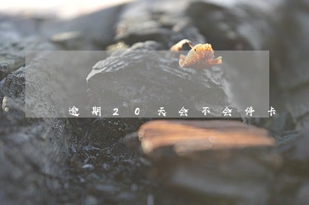 逾期20天会不会停卡 逾期20天会不会停卡