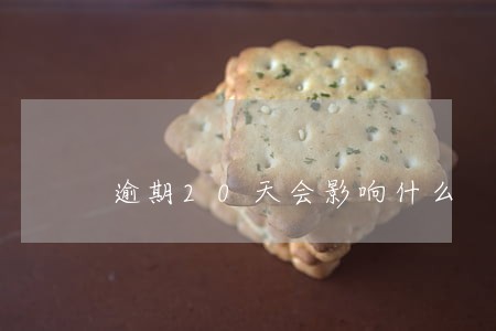 逾期20天会影响什么 逾期20天会影响什么