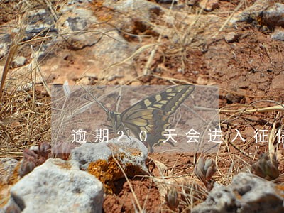 逾期20天会进入征信吗 逾期20天会进入征信吗