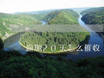 逾期20天怎么催收 逾期20天怎么催收