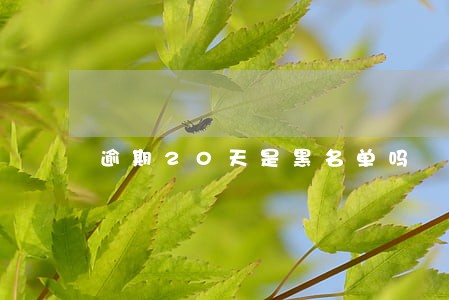 逾期20天是黑名单吗 逾期20天是黑名单吗