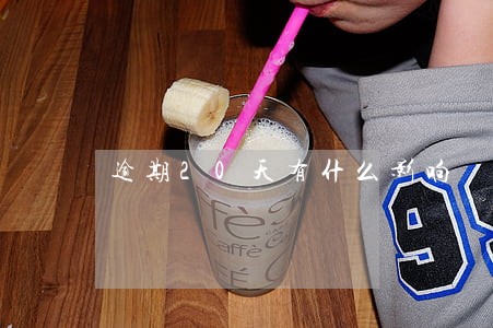 逾期20天有什么影响 逾期20天有什么影响