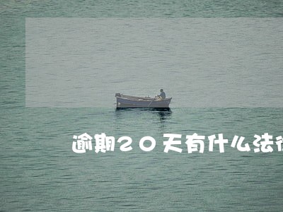 逾期20天有什么法律责任 逾期20天有什么法律责任
