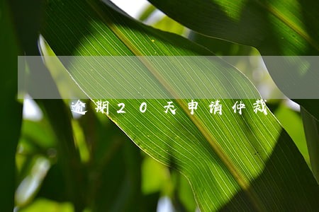 逾期20天申请仲裁 逾期20天申请仲裁