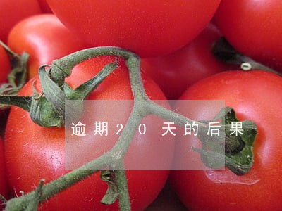 逾期20天的后果