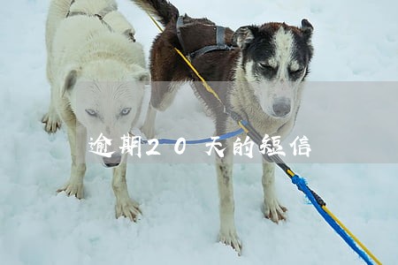 逾期20天的短信 逾期20天的短信