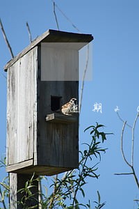 逾期20天算失信吗 逾期20天算失信吗