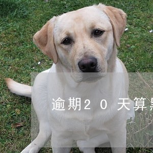 逾期20天算黑户吗 逾期20天算黑户吗