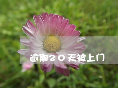 逾期20天被上门 逾期20天被上门